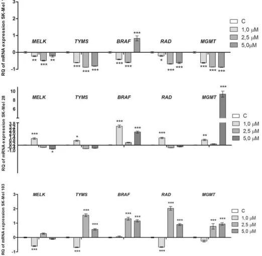 Fig. 5.Relative mRNA quantiﬁcation ofMELK, TYMS, BRAF, RAD, and MGMT gene expression levels in human melanoma SK-Mel cells after treatment with biﬂorin 1.0, 2.5 and 5.0 μM