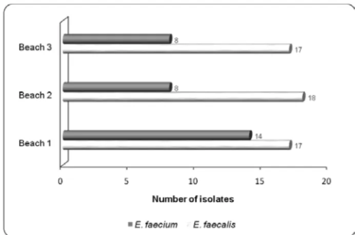Figure 1 - Number of Enterococcus isolates from water samples  collected at Beaches 1, 2 and 3, Fortaleza, Ceará, Brazil