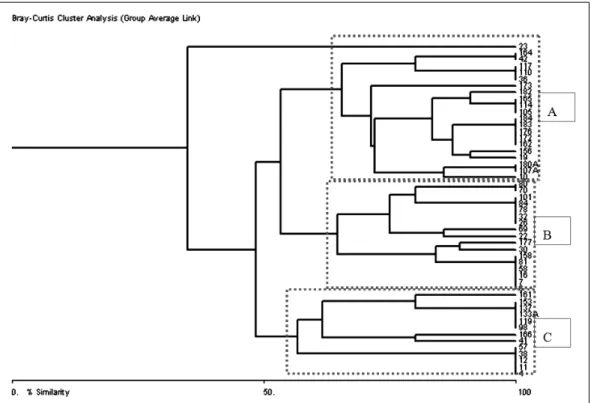 Figure 2 - Dendrogram based on the susceptibility proiles to antimicrobials of E. faecalis and E
