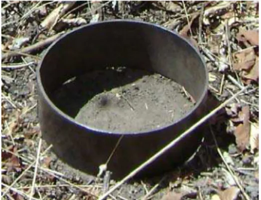 Figura 5 – Cilindro de aço usado para delimitar a parcela circular na amostragem do banco de  sementes no solo