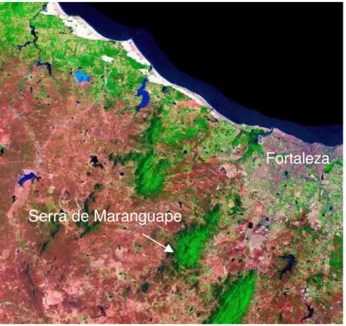 Figura 1.1:  Imagem de satélite, indicando a localização da Serra de  Maranguape  em  relação  à  cidade  de  Fortaleza