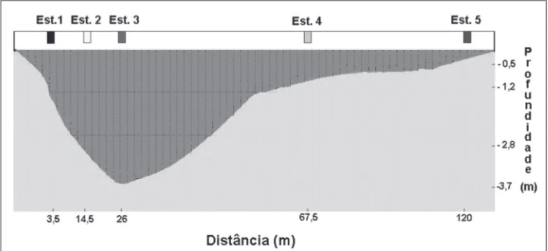 Figura 2 - Peril vertical da Gamboa do Maciel com localização dos pontos de coleta. 