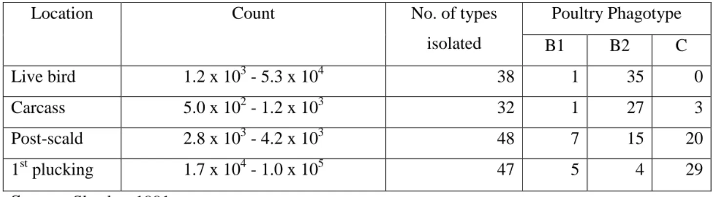 Table 3 -  Staphylococcus aureus  counts (ufc/16cm 2  of skin) during initial stages of the process