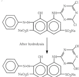 Fig. 1. Chemical structure of the reactive azo dye Reactive Red 2 (RR2) used as a model compound, before and after hydrolysis