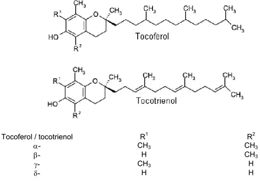 Figura 6.  Estruturas químicas do tocoferol e tocotrienol (CERQUEIRA et al.,  2007). 