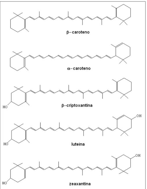 Figura 1 - Estruturas  químicas  de  alguns pigmentos carotenóides (ROWAN,  1989). 