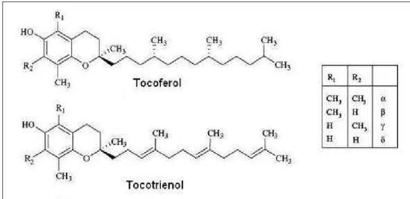 Figura 2 -  Estruturas químicas de tocoferóis e tocotrienóis (ZINGG, 2007). 