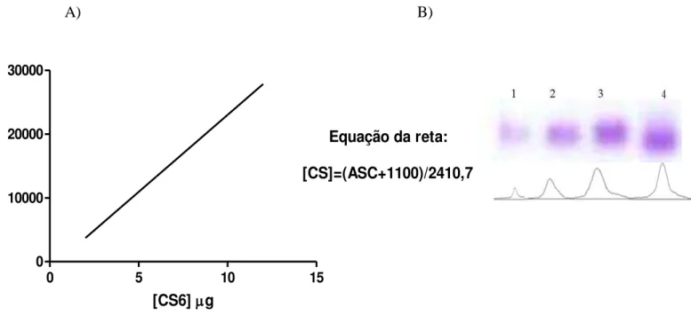 Figura 5-  Quantificação de  glicosaminoglicanos (GAGs) da cartilagem articular  em gel  de agarose (0,6%)
