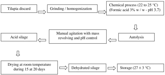 Figure 1. Flowchart processing for preparation of Nile tilapia acid silage    Analyses were conducted to determine 