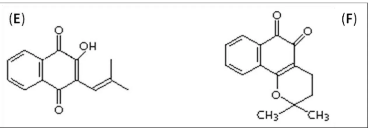 Figura 5 - Estruturas químicas do lapachol (E ) e da β -lapachona (F). 