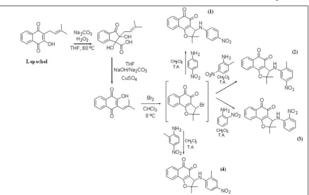 Figura 15 - Rota de síntese dos derivados arilaminos substituídos da  nor - β -lapachona  ( 1) 2,2-dimetil-3-(4-nitro-arilamino)-2,3-diidro-nafto[1,2-b]furan-4,5-diona; 