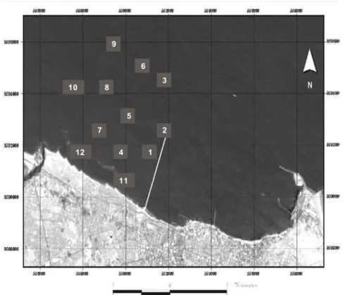 Figura 1 – Mapa da região costeira de Fortaleza, destacando-se o emissário submarino e a 