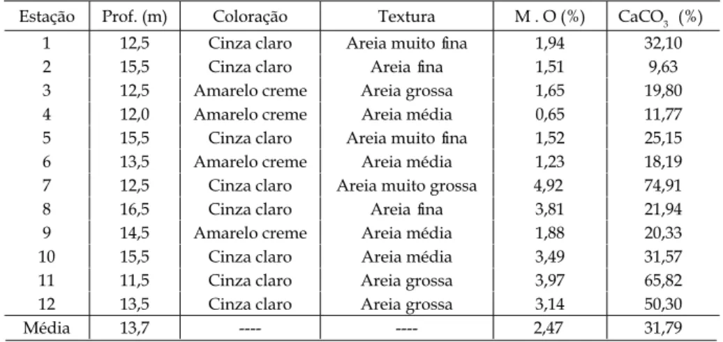 Tabela IV – Variação de cor, textura, valores de matéria orgânica e carbonato de cálcio nas amos- amos-tras  de  sedimento,  obtidos  no  decorrer  da  segunda  campanha  de  monitoramento  do  SDOES,  novembro de 2007.