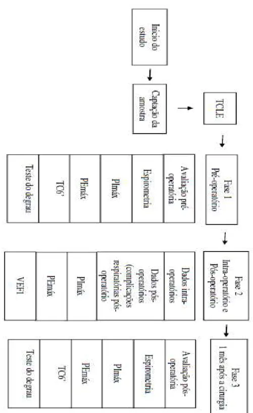 Figura 5 – Algoritmo do protocolo do estudo. 