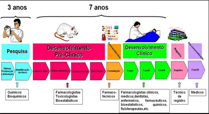 Figura  1:  Representação  Esquemática  das  Fases  de  Desenvolvimento  de  um  Medicamento