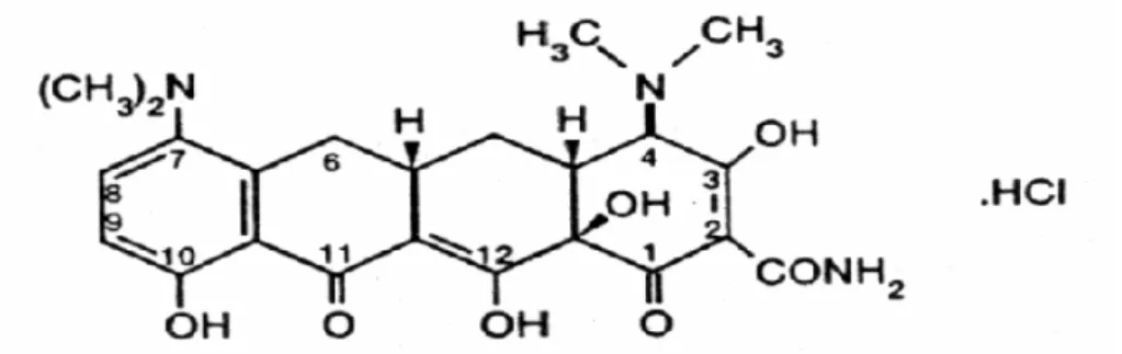 Figura 2: Fórmula estrutural da minociclina 