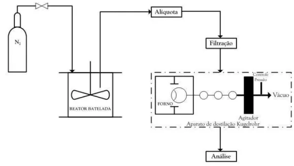 Figura 7  –  Esquema representativo do sistema usado para o estudo da reação de esterificação  do ácido ricinoléico 