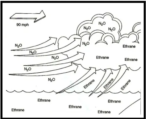 FIGURA 4 - Ilustração do efeito do óxido nitroso aumentando a velocidade de transporte de outros  gases, modificado de Clark e Brunick (2004) 