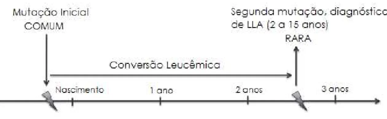 Figura 2 – Desenvolvimento natural da LLA infantil