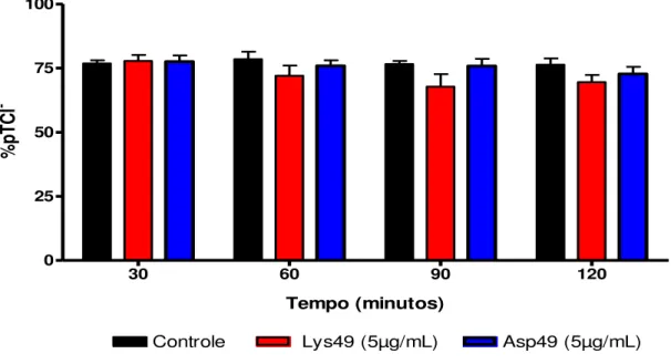 GRÁFICO  10.0  -  Efeitos  no  percentual  de  transporte  proximal  de  cloreto  (%pTCl - )  na  ausência (controle) e presença das frações Lys 49 (5  g/mL) e Asp 49 (5  g/mL) do veneno de  Bothropoides erythromela s 