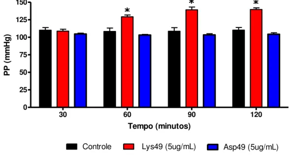 GRÁFICO 1.0 - Efeitos na pressão de perfusão renal (PP) na ausência (controle) e presença  das frações Lys 49 (5  g/mL) e Asp 49 (5  g/mL) do veneno de  Bothropoides erythromela s 