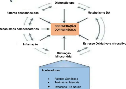 Figura 3: Diagrama da hipótese da aceleração estocástica 