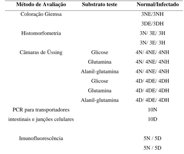 Tabela 2 - Método de avaliação, estado nutricional dos animais, substrato testado e número de  animais normais e infectados analisados 