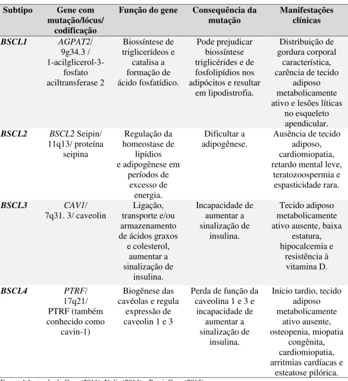 Tabela 3- Características moleculares e clínicas da lipodistrofia generalizada congênita