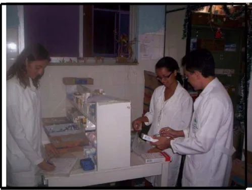 Figura 02. Equipe de farmacêuticos responsáveis pela implantação do sistema de  farmacovigilância no Instituto de Doenças Tropicais Natan Portella 