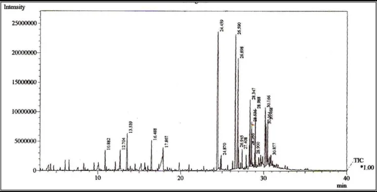 Figura 10- Cromatograma de CG/EM do óleo das sementes de murici 