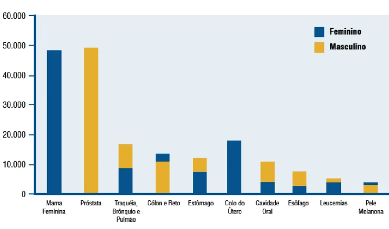 Figura 1: Tipos de câncer com maior incidência para 2008, de acordo com estimativas do INCA   Fonte: (INCA, 2007) 