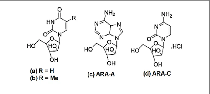 Figura  2  -  Estruturas químicas dos compostos isolados da esponja marinha Cryptotethya crypta