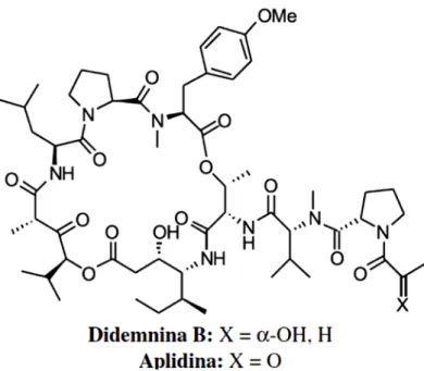 Figura 6 - Estrutura química dos depsipeptídeo Aplidina B e Dideminina B. 
