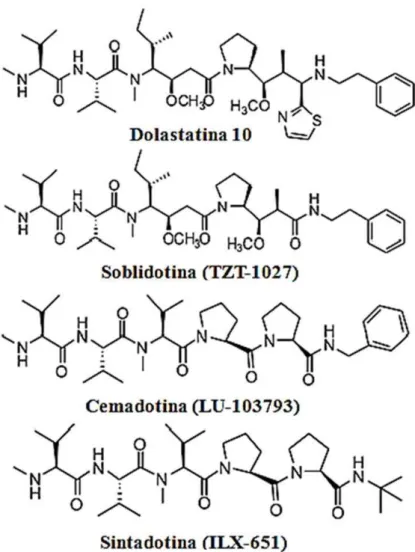 Figura 7 - Estruturas químicas da dolastatina 10 e seus derivados: soblidotina, cemadotina e sintadotina.