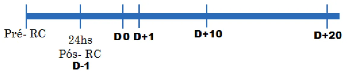Figura 1- Momentos analisados durante o período de acompanhamento dos pacientes.   