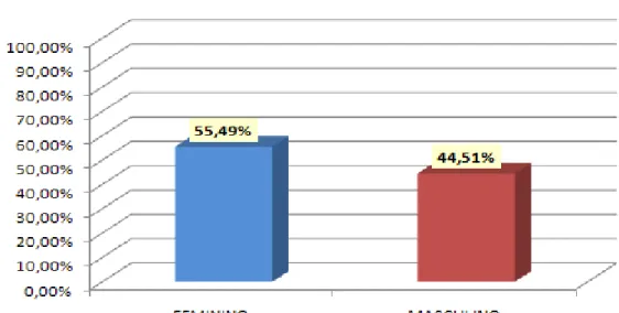 Gráfico 2 - Percentual de alunos: divisão por sexo  Fonte: Elaborado pela autora 