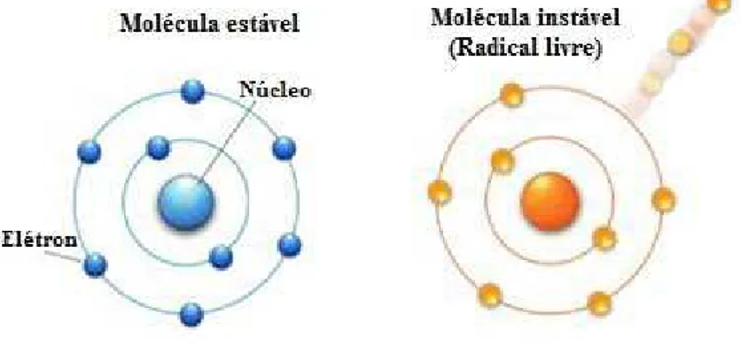 Figura 5. Comparação entre uma molécula estável e uma molécula instável (radical livre)