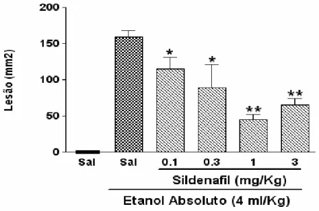 Figura 10: Efeito do tratamento do sildenafil na lesão gástrica induzida por  álcool  em  ratos