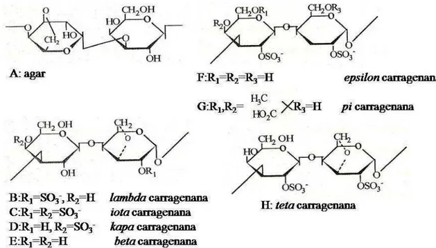 Figura  5:  Principais  unidades  repetitivas  de  alguns  polissacarídeos  sulfatados  de  algas  marinhas