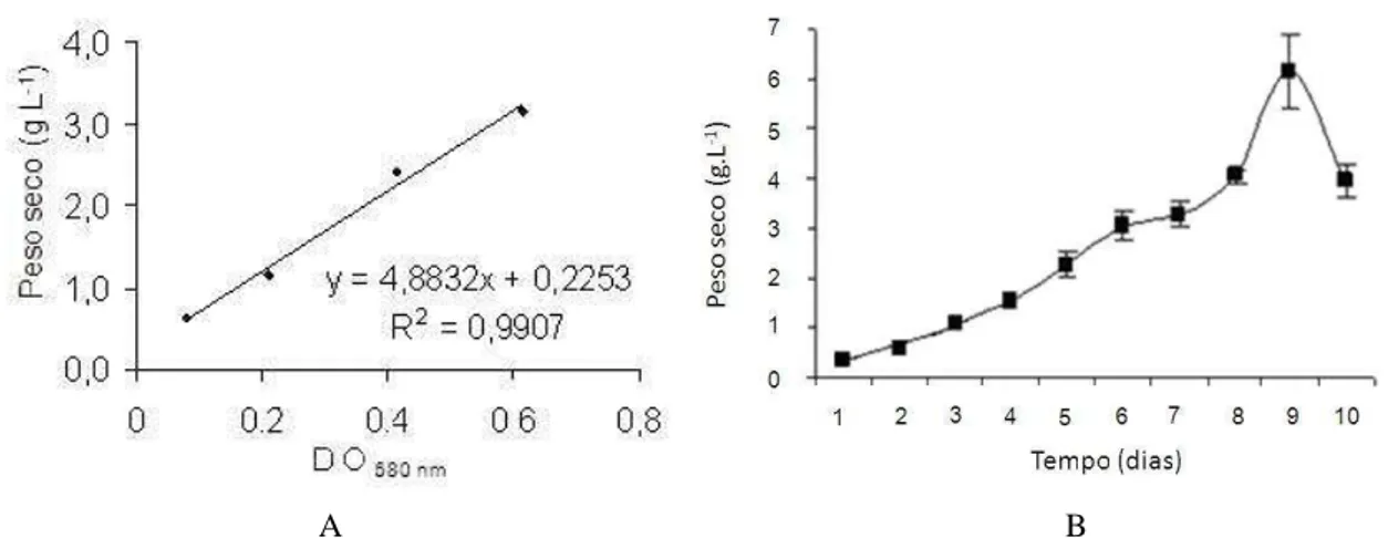 Figura 8: Correlação linear entre o peso seco (g L -1 ) e a densidade óptica a 680 nm (A) e curva de crescimento da  microalga  Dunaliella tertiolecta  expressa em g L -1  de peso seco (B)