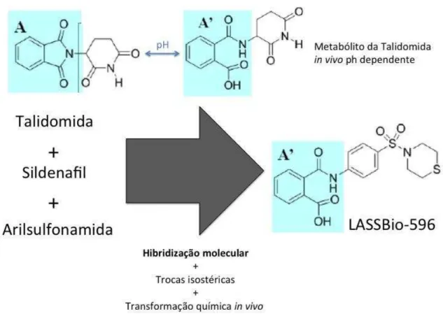 Figura 5. Estruturas químicas da talidomida, seu metabólito e do LASSBio-596, evidenciando o  processo de hibridização molecular da talidomida, sildenafil e arilsulfonamida na formação do  LASSBio-596