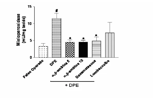 Figura 11 – Efeitos do α, β amirina, dexametasona e lumiracoxibe na atividade gengival da mieloperoxidase na fase aguda da DPE doença periodontal experimental (veículo, Tween 80 a 3 %, 10 ml/kg, v.o.), α, β amirina (5 e 10 mg/kg, v.o.), dexametasona (1 mg/