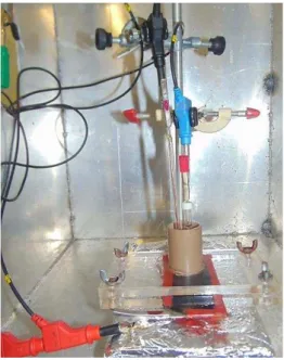 Figura 4  –  Foto mostrando a célula utilizada nos ensaios eletroquímicos 