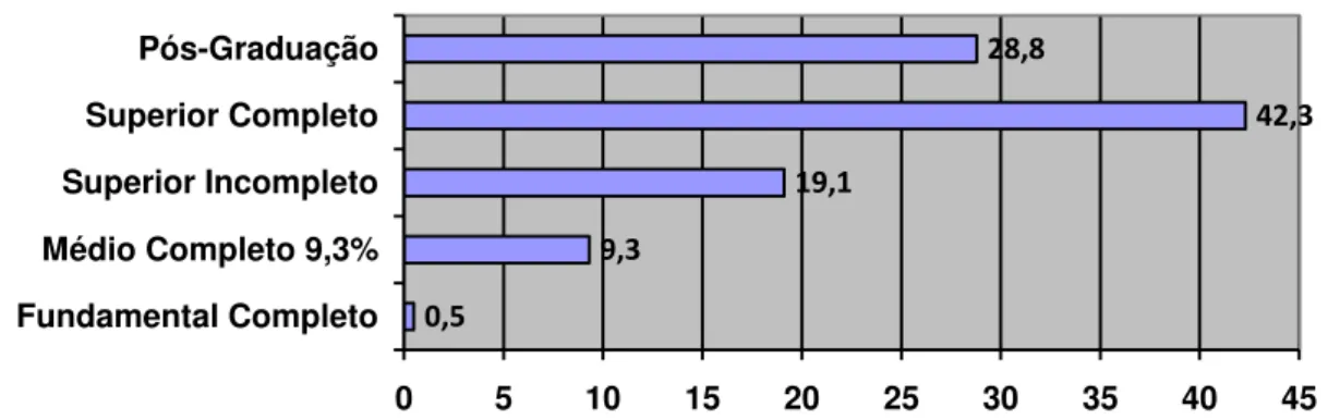 Gráfico 7. Grau de instrução dos professores