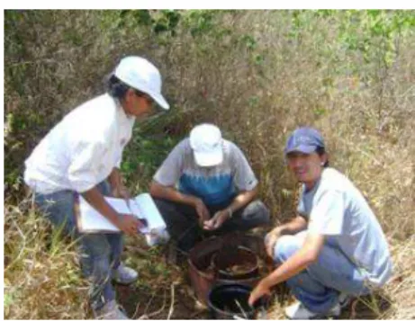 Figura 5 - Tambores de 200 L com água utilizada  nos testes de infiltração 