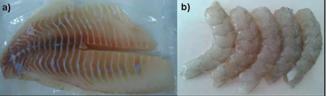 Figura  13  –  Imagem  das  amostras  de  filés  de  pescado  utilizado  neste  estudo:  (a)  Tilápia do Nilo e (b) Camarão