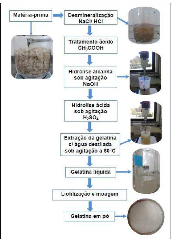 Figura  15  –  Fluxograma  simplificado  do  procedimento  de  extração  de  gelatina  de  escama de tilápia (Oreochromis niloticus)