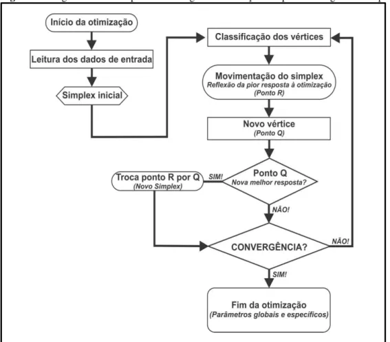 Figura 6 - Diagrama da das etapas da modelagem e otimização dos parâmetros globais e específicos 