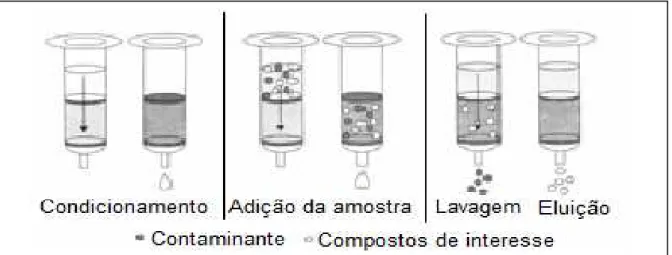 Figura 7 - Etapas da Extração em Fase Sólida (SPE) para isolamento de compostos  de interesse