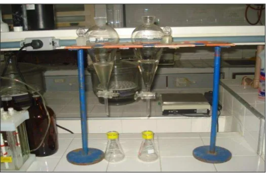 Figura 12 - Protocolo utilizado na extração líquido-líquido (ELL) dos organoclorados  em funil de separação